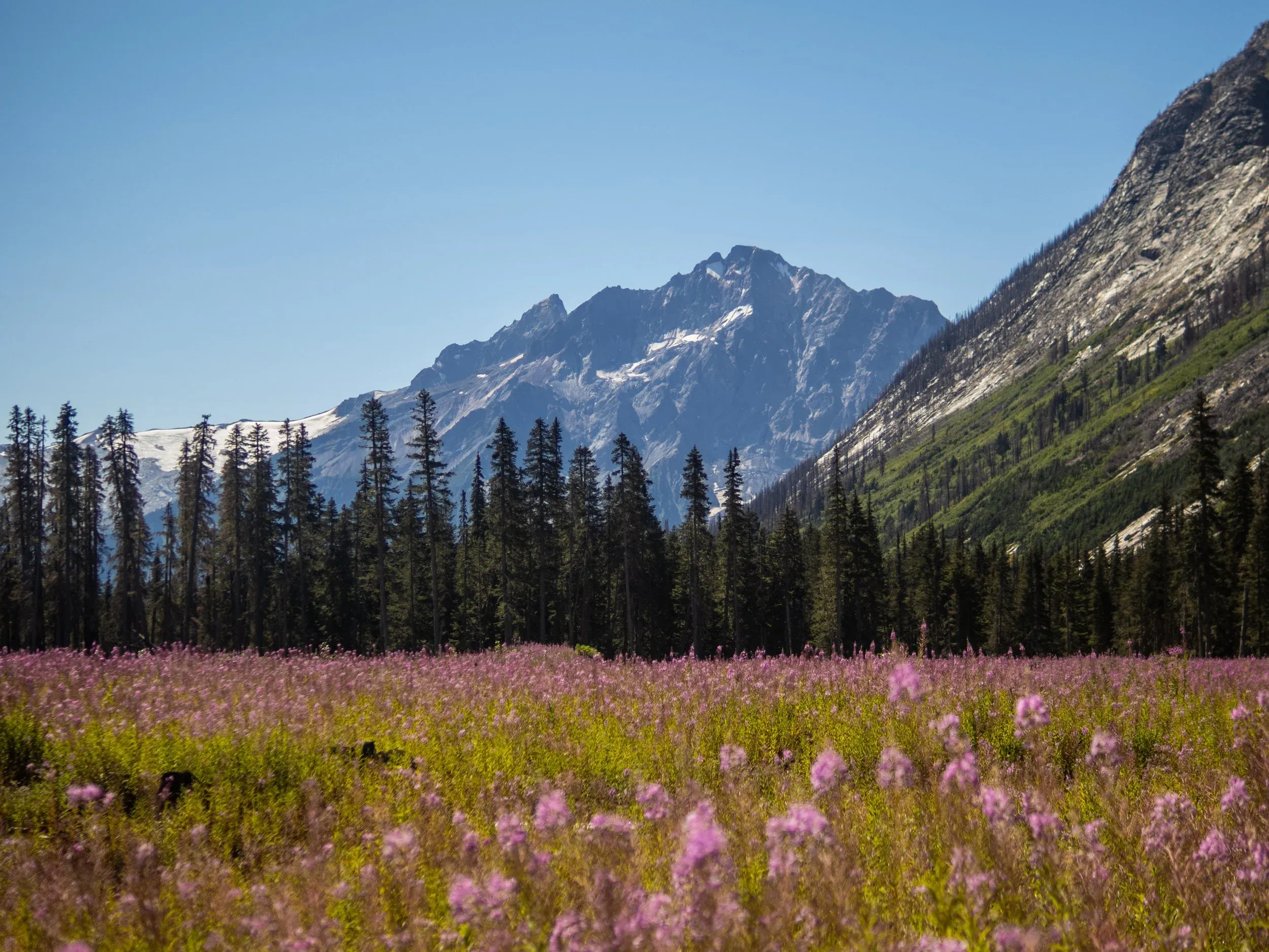 Plinth Peak, part of the Mount Meagre Massif, the site of Canada’s largest recorded landslide and a massive volcanic eruption ~2400 years ago. Another major event could have dire consequences for Pemberton and the region.