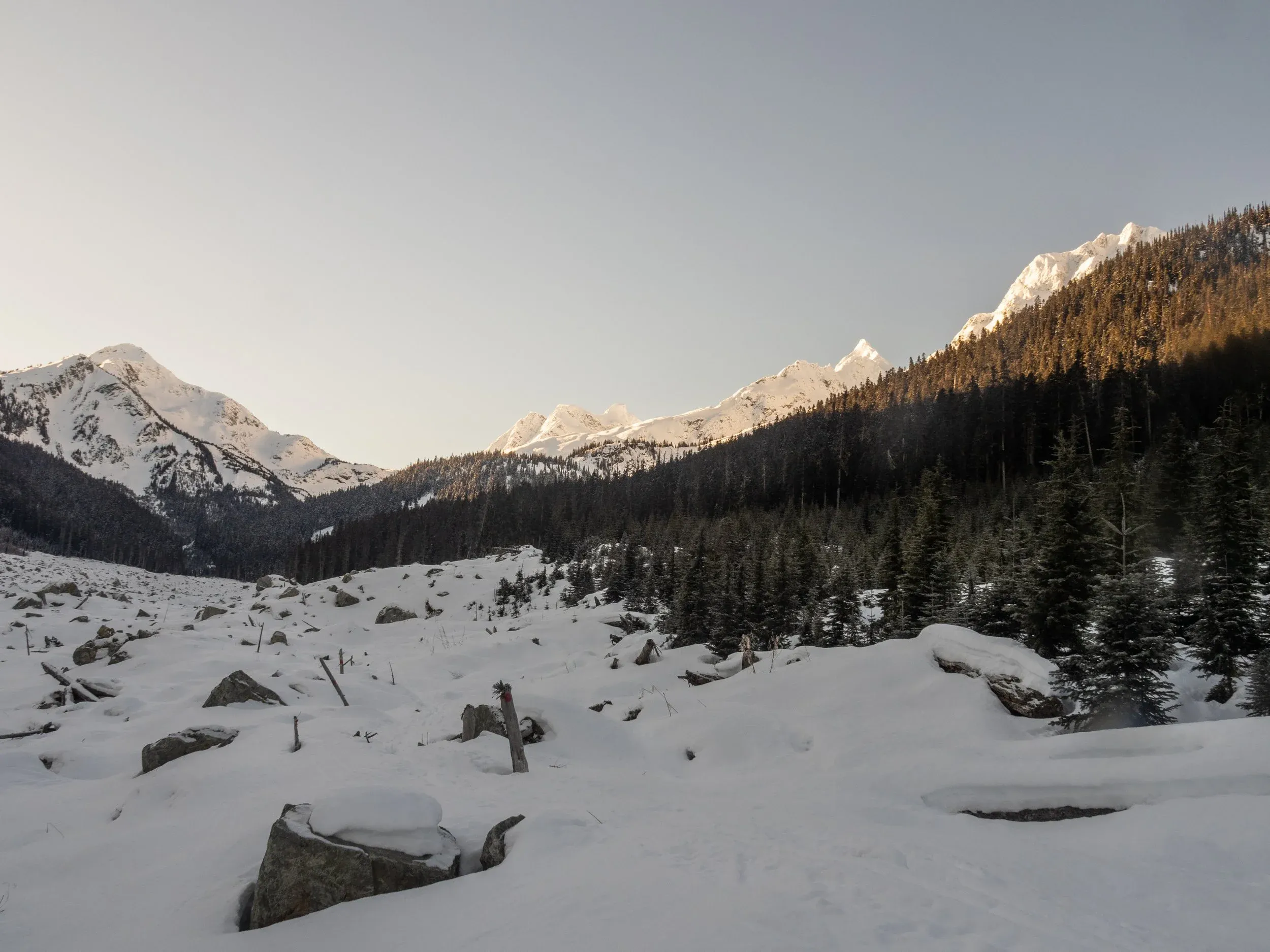 The carnage of the Joffre slide