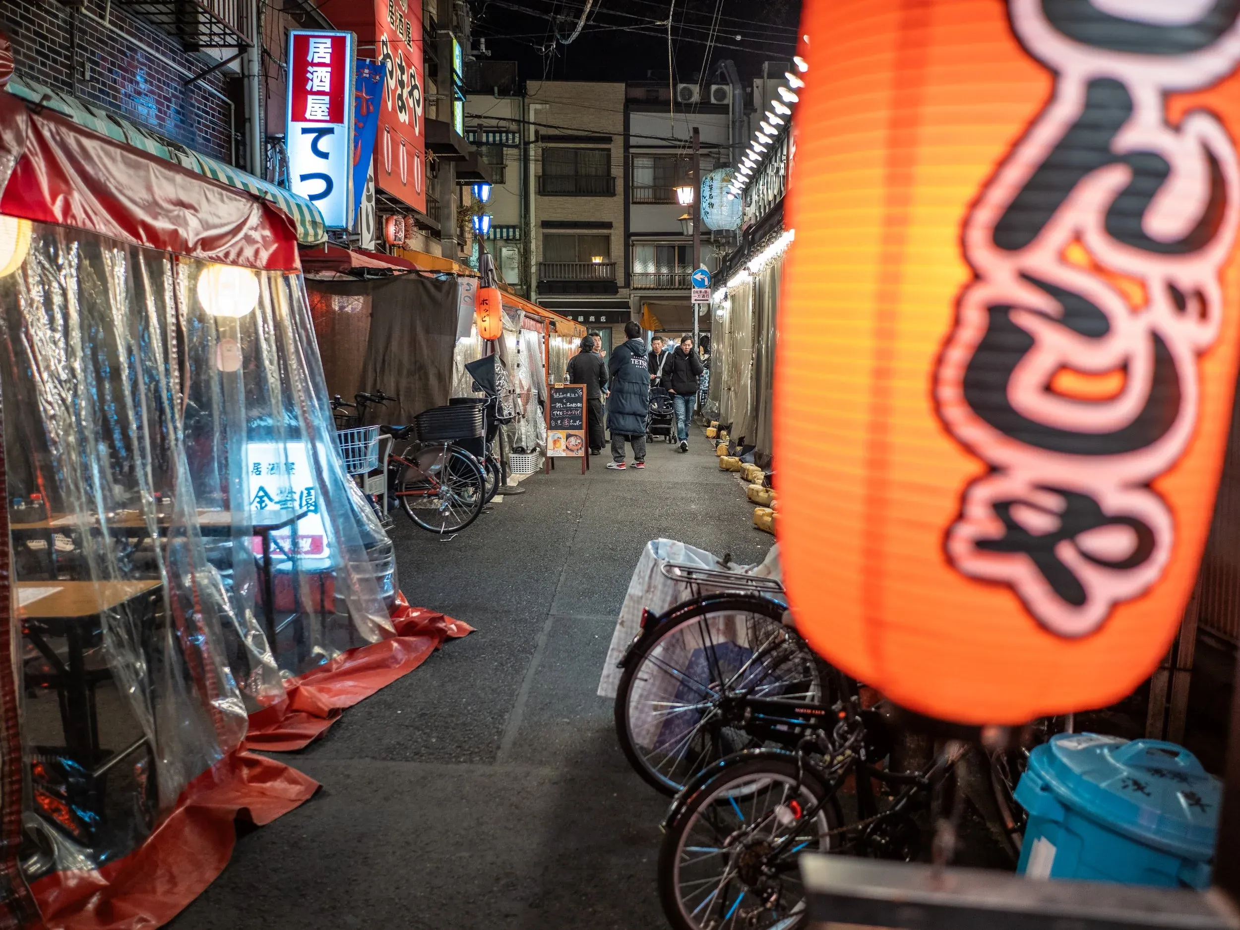 Endless popular Izakayas (casual drinks/small plates) dotted the area around “Hoppy Street” in central Asakusa. They seemed very popular with college age Japanese.