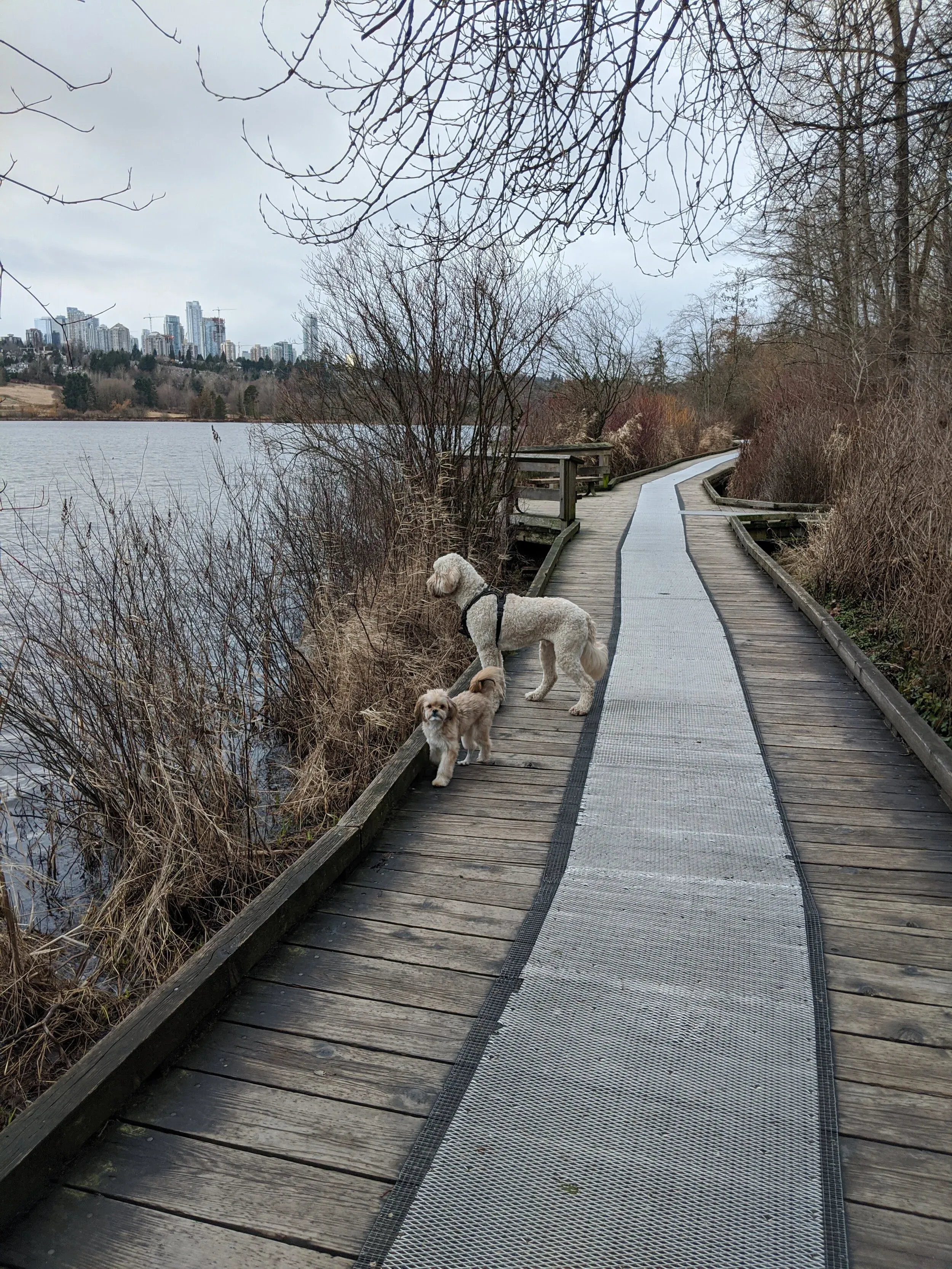 Feb 23rd: Nootka and Ignatius made great strides in patching up past grievances and acting like good friendly cousins