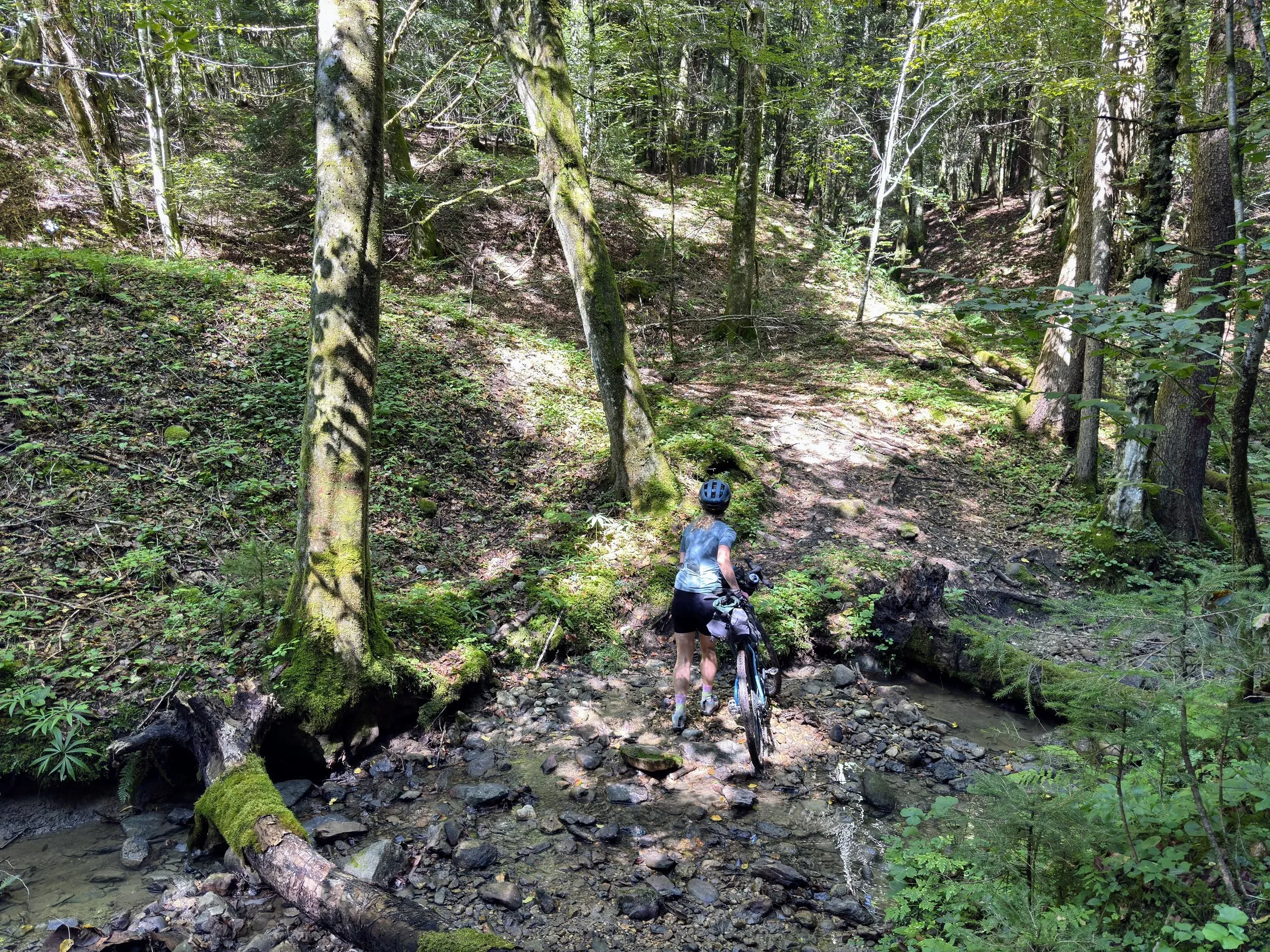 Gotta put those 41mm gravel tires to good use!