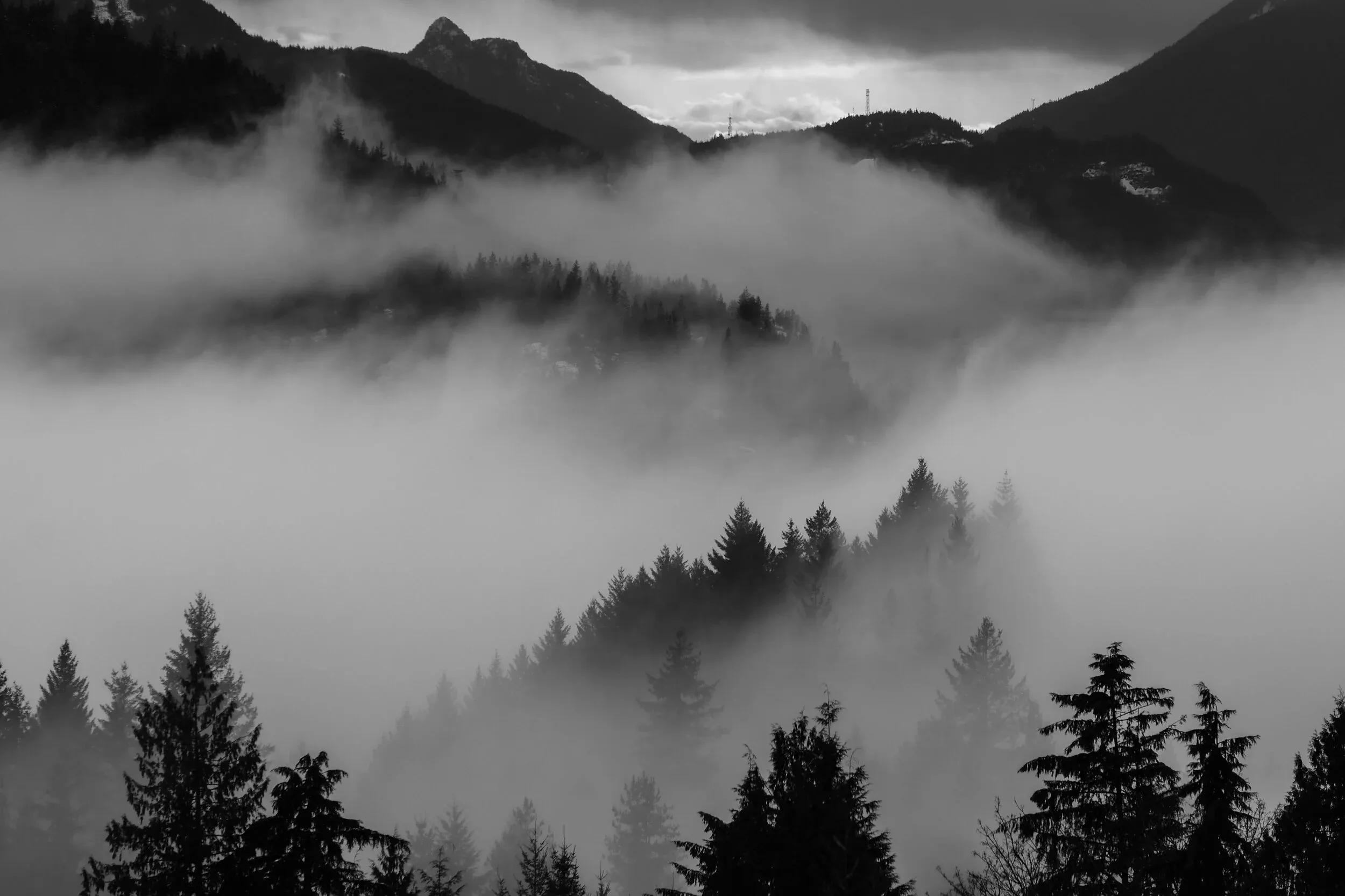 Moody autumn Squamish days