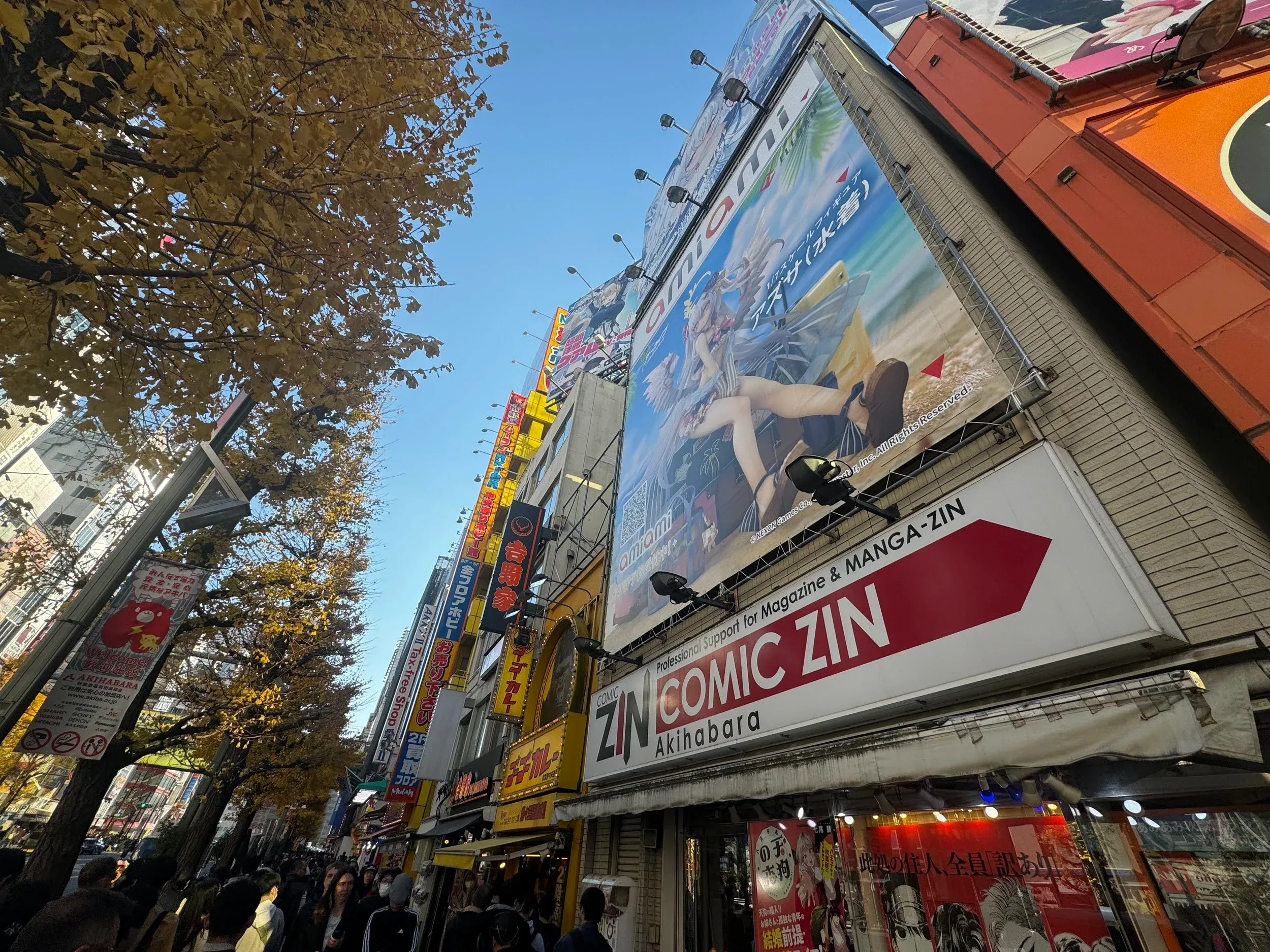 We decided to stop into Akihabara on the way home to check out the “OG” Tokyo electronics/anime/manga district