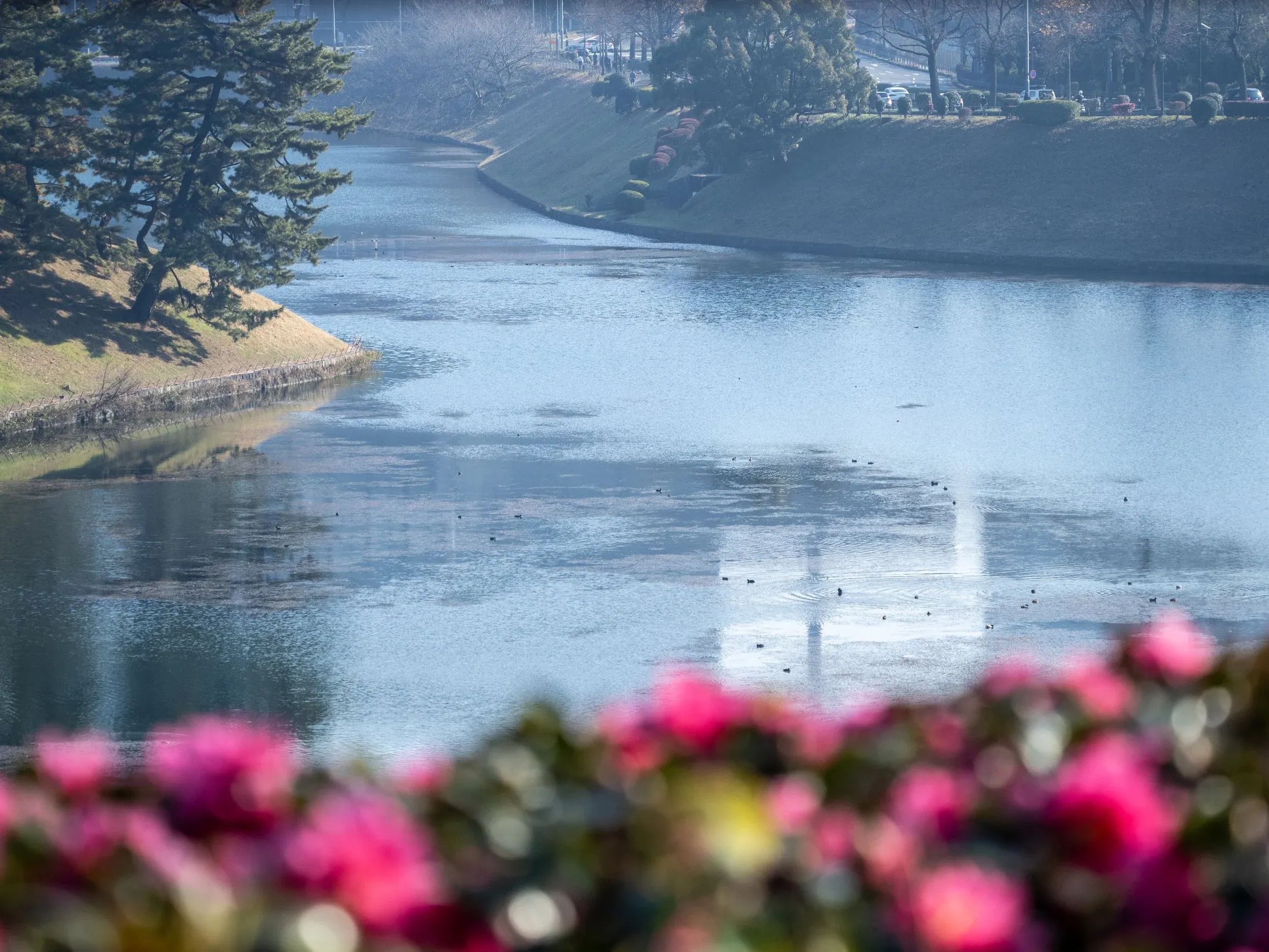 Imperial Palace Moat