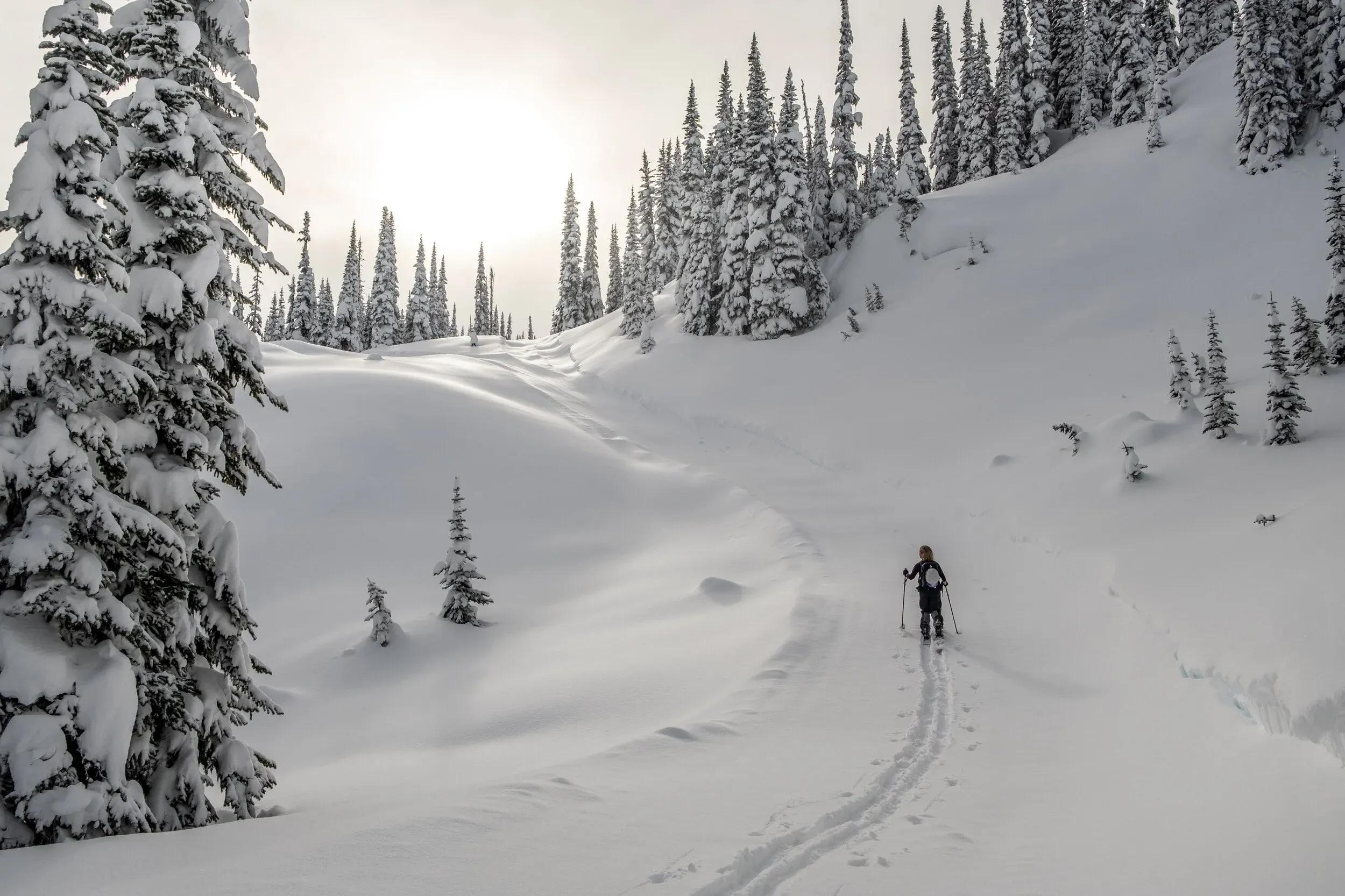 Heading up the Backcountry Snowcats access road saved us from trailbreaking up the 70cms of fresh coastal pow deposited over the previous week