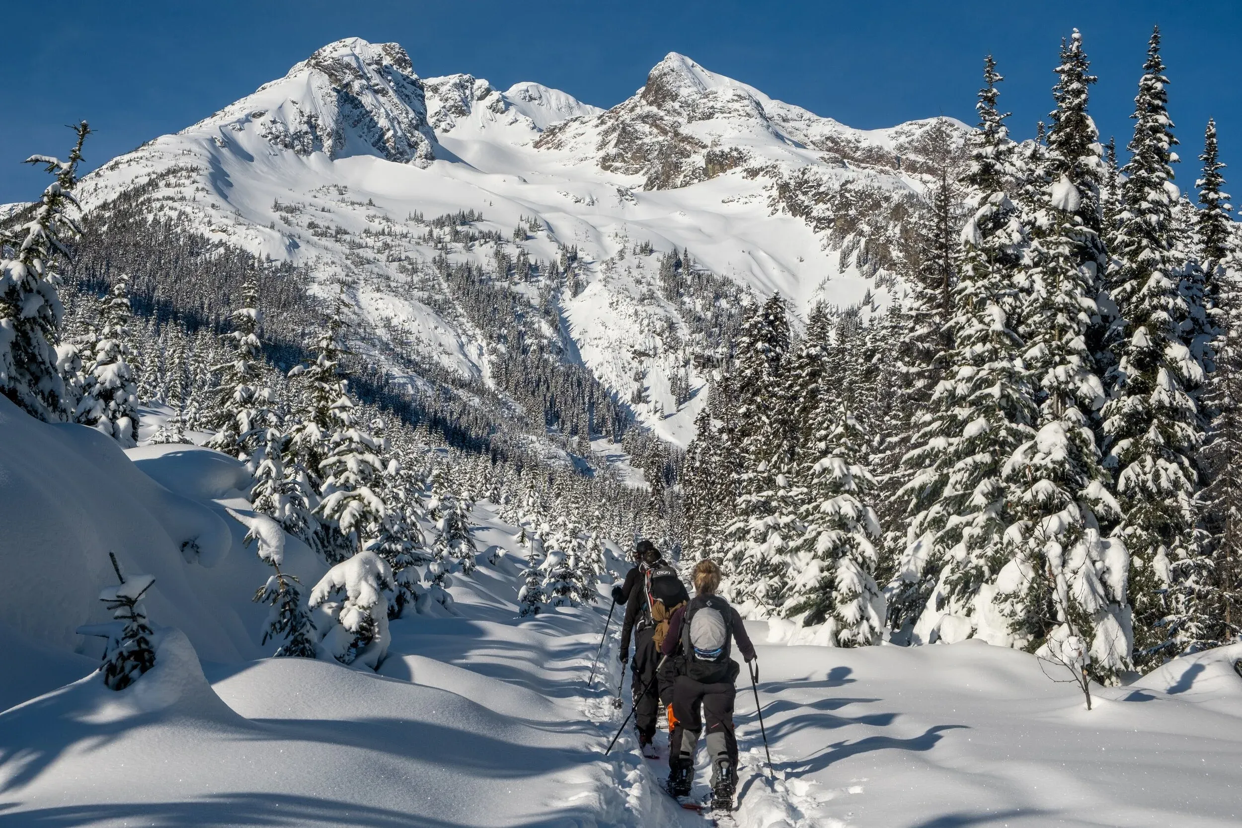 Heading through the lower clearcuts up to Cayoosh. Our objective was up and over the rocky pointy peak on lookers right