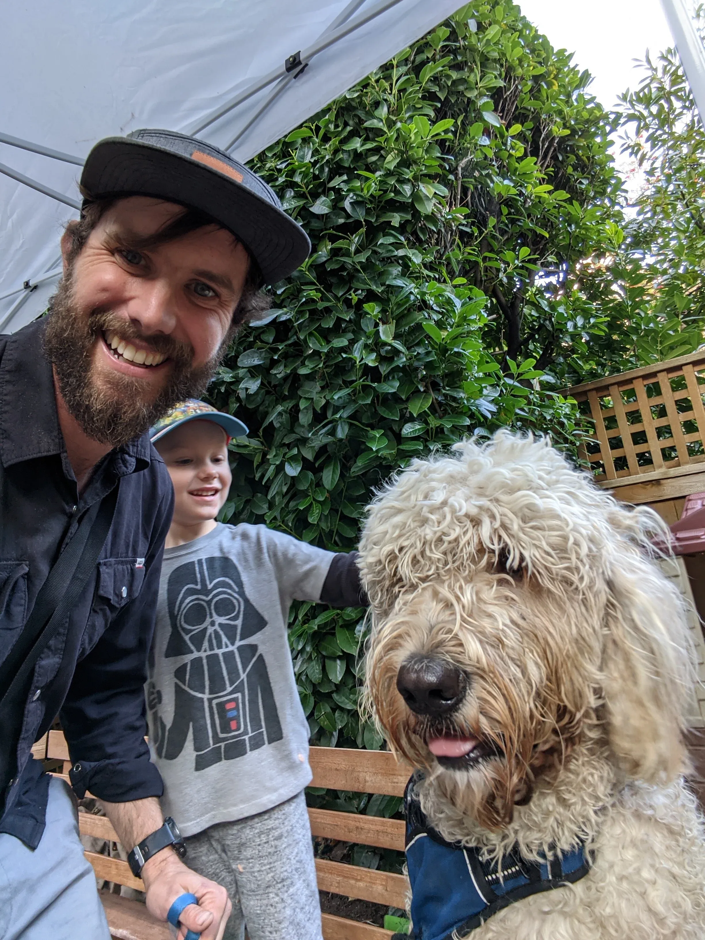 Dog-Child relationship counselling session